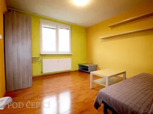 Pronájem bytu 2+1, Brno - Staré Brno, Křídlovická, 51 m2