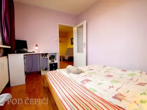 Pronájem bytu 2+1, Brno - Staré Brno, Křídlovická, 51 m2