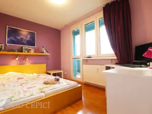 Pronájem bytu 2+1, Brno - Staré Brno, Křídlovická, 51 m2