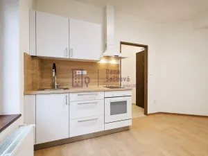 Pronájem bytu 1+kk, Jindřichův Hradec - Jindřichův Hradec I, nám. Míru, 20 m2