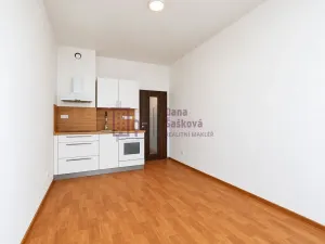 Pronájem bytu 1+kk, Jindřichův Hradec - Jindřichův Hradec I, nám. Míru, 20 m2