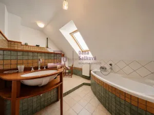 Prodej rodinného domu, Pluhův Žďár - Mostečný, 566 m2