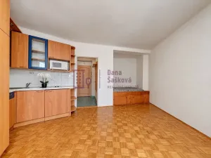 Pronájem bytu 1+kk, Jindřichův Hradec - Jindřichův Hradec II, Nádražní, 25 m2