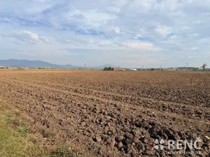 Prodej pozemku pro bydlení, Terezín, 5323 m2