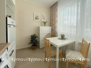 Pronájem bytu 1+1, Heřmanův Městec, V Lukách, 35 m2