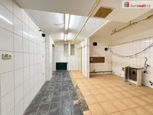 Pronájem restaurace, Chomutov, Blatenská, 130 m2