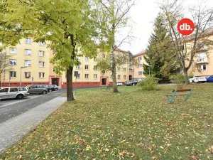 Prodej bytu 2+1, Ostrov, Borecká, 64 m2