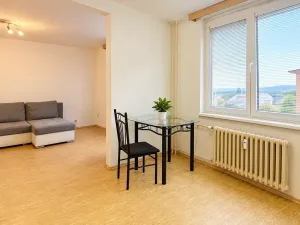 Pronájem bytu 1+kk, Opočno, Podzámčí, 48 m2