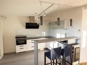 Prodej bytu 2+kk, Brno, Vrchlického sad, 86 m2