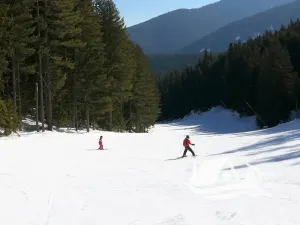 Prodej bytu 1+kk, Bansko, Bulharsko, 29 m2