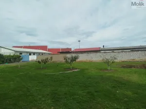 Prodej pozemku pro bydlení, Otvice, Polní, 3916 m2