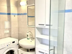Pronájem bytu 1+kk, Tachov, Bělojarská, 46 m2