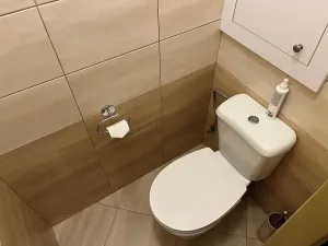 Pronájem bytu 2+1, Prostějov, Okružní, 64 m2