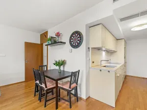 Prodej bytu 3+kk, Praha - Žižkov, Ke kapslovně, 88 m2