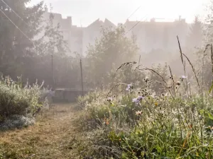 Prodej bytu 3+kk, Plzeň - Jižní Předměstí, Vrchlického, 77 m2