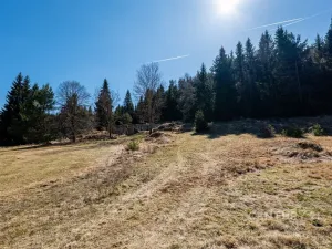 Prodej pozemku pro bydlení, Stožec, okres prachatice, 10137 m2