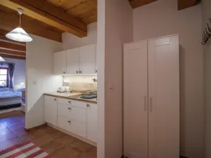 Pronájem atypického bytu, Sušice - Sušice I, Americké armády, 25 m2
