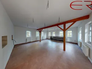 Prodej ubytování, Pěnčín - Alšovice, 780 m2