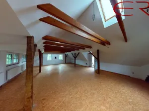Prodej ubytování, Pěnčín - Alšovice, 780 m2