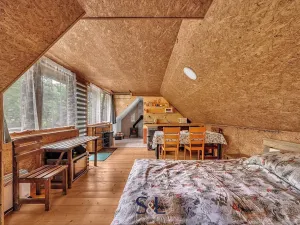Prodej ubytování, Horní Planá, 200 m2