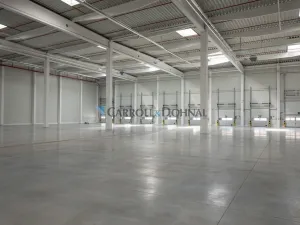 Pronájem skladu, Ostrava - Vítkovice, 4971 m2