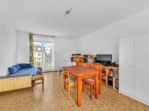 Prodej bytu 1+kk, Jiřice, 39 m2