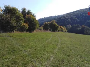 Prodej pole, Podkopná Lhota, 9092 m2