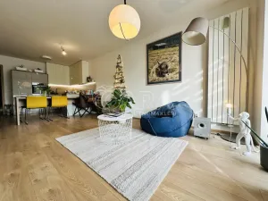 Pronájem bytu 2+kk, České Budějovice - České Budějovice 3, Nová, 80 m2