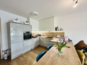 Pronájem bytu 2+kk, České Budějovice - České Budějovice 3, Nová, 80 m2