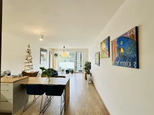 Pronájem bytu 2+kk, České Budějovice - České Budějovice 3, Nová, 80 m2