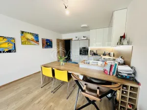 Pronájem bytu 2+kk, České Budějovice - České Budějovice 3, Nová, 80 m2