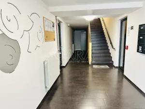 Pronájem bytu 2+kk, České Budějovice - České Budějovice 3, Nová, 80 m2