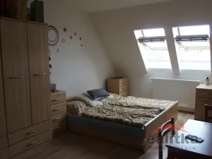 Pronájem bytu 1+kk, Opava - Předměstí, Olbrichova, 30 m2