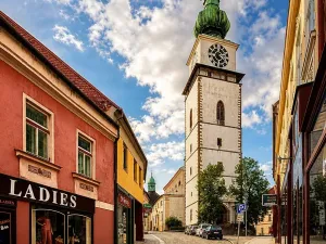 Prodej obchodního prostoru, Třebíč, Hasskova, 240 m2