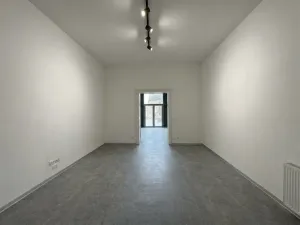 Pronájem obchodního prostoru, Plzeň - Vnitřní Město, náměstí Republiky, 48 m2