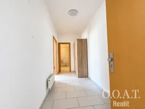 Prodej bytu 1+kk, Plzeň, Karlova, 42 m2
