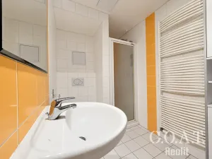 Prodej bytu 1+kk, Plzeň, Karlova, 42 m2