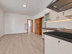 Pronájem bytu 3+kk, Jindřichův Hradec - Jindřichův Hradec III, sídliště Vajgar, 53 m2