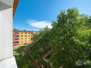 Pronájem bytu 3+1, Sokolov, Závodu míru, 84 m2