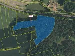 Dražba lesa, Nerestce, 11172 m2
