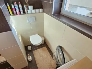 Prodej rodinného domu, Kunštát, nám. Krále Jiřího, 237 m2