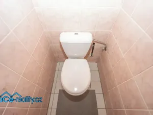 Prodej bytu 1+kk, Kvasiny, 50 m2