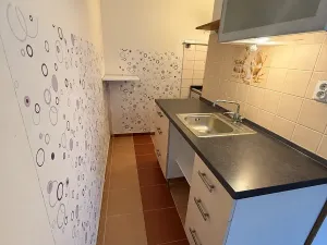 Prodej bytu 1+kk, Jílové u Prahy, Holíkova, 44 m2