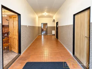 Prodej komerční nemovitosti, Litvínov - Šumná, Sokolská, 1000 m2
