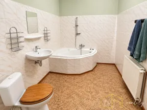 Prodej komerční nemovitosti, Litvínov - Šumná, Sokolská, 1000 m2