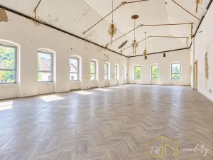 Prodej komerční nemovitosti, Litvínov - Šumná, Sokolská, 1000 m2