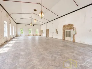 Prodej komerční nemovitosti, Litvínov - Šumná, Sokolská, 1000 m2