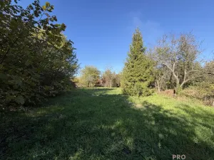Prodej zahrady, Havířov, Luční, 933 m2