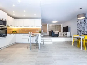 Prodej bytu 1+kk, Praha - Karlín, U Mlýnského kanálu, 80 m2