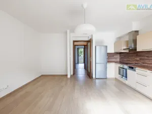 Pronájem bytu 2+kk, Benešov, Jiráskova, 42 m2